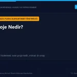 İnşaat ruhsatı öncesinde belediyeye sunulan kütle, cephe ve yerleşim etüdünü gösteren mimari avan proje hazırlığı.